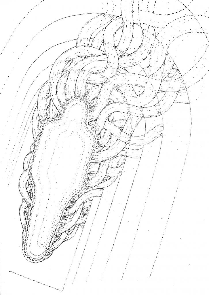 Breacking body, drawing by DMT vision